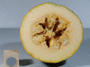 Cucurbita pepo Golden oblong; coupes