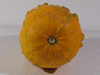 Cucurbita pepo Sucrine du Brsil; ombilics