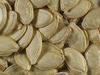 Cucurbita pepo Courgette blanche d'Egypte; graines