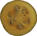Cucurbita pepo Northern bush; coupes