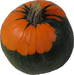 Cucurbita pepo Batwing mix; fruits