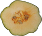 Cucurbita pepo Ptisson gagat; coupes