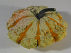 Cucurbita pepo Ptisson panach mix; fruits