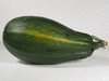 Cucurbita pepo Abobrinha mineiro; fruits