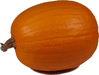 Cucurbita pepo Tsinhnahjinnie; fruits