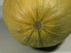 Cucurbita pepo Nawathinehena; ombilics