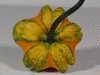 Cucurbita pepo F1 Galaxy of Stars; fruits