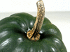Cucurbita pepo Yugoslavian Fingers Green; pedoncules