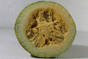 Cucurbita pepo Golden queen; coupes