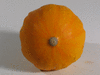 Cucurbita pepo Lemon Squash; ombilics