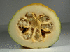 Cucurbita pepo Panonia; coupes