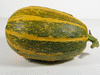 Cucurbita pepo Sucrine du Brsil; fruits