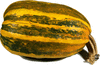 Tarahumara  Pumpkin