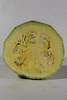 Cucurbita pepo De Breil sur Roya; coupes