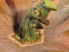Cucurbita moschata Musquée de Provence; pedoncules