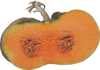 Cucurbita moschata Musquée de Provence; coupes