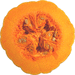 Cucurbita moschata Long Island cheese; coupes