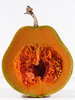 Cucurbita moschata Rio Fuerte Mayo Segualca; coupes