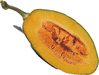 Cucurbita moschata Courge de Côte d'Ivoire; coupes