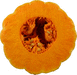 Cucurbita moschata Musquée des Caraïbes; coupes
