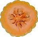 Cucurbita moschata Potkin; coupes