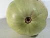 Cucurbita moschata Caravelle; ombilics