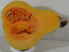 Cucurbita moschata Rio fuerte mayo arrote