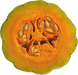 Cucurbita moschata Papaw; coupes