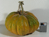 Cucurbita moschata Small flat cheese; fruits