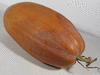 Cucurbita moschata Vitamin pumpkin, sorte Russe; fruits