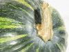 Cucurbita moschata Rajada seca; pedoncules