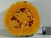 Cucurbita moschata Cabotian non verruqueux; coupes