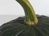 Cucurbita moschata F1 Tetsukabuto; pedoncules