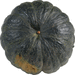 Cucurbita moschata F1 Tetsukabuto; ombilics