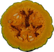 Cucurbita moschata F1 Tetsukabuto; coupes