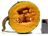 Cucurbita moschata F1 Tetsukabuto; coupes