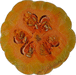 Cucurbita moschata Musquée d'Ancenis; coupes