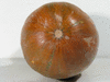 Cucurbita moschata Comestible de Chine; ombilics