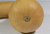 Cucurbita moschata Catawbas ochre; ombilics