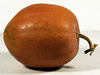 Cucurbita moschata Pearl; fruits