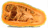 Cucurbita moschata Alligator (Jacaré); coupes