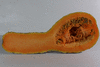 Cucurbita moschata Alligator (Jacaré); coupes