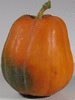 Cucurbita moschata Oskar; fruits