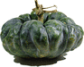 Cucurbita moschata Heipijiangbinggua; fruits