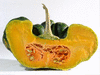 Cucurbita moschata Heipijiangbinggua; coupes