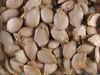 Cucurbita moschata Longue de Sicile; graines