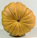 Cucurbita moschata Musquée de la Venise verte; ombilics