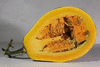 Cucurbita moschata Yellow pumpkin de Dubaï; coupes