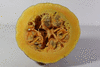 Cucurbita moschata Yellow pumpkin de Dubaï; coupes