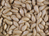 Cucurbita moschata Hidemi; graines